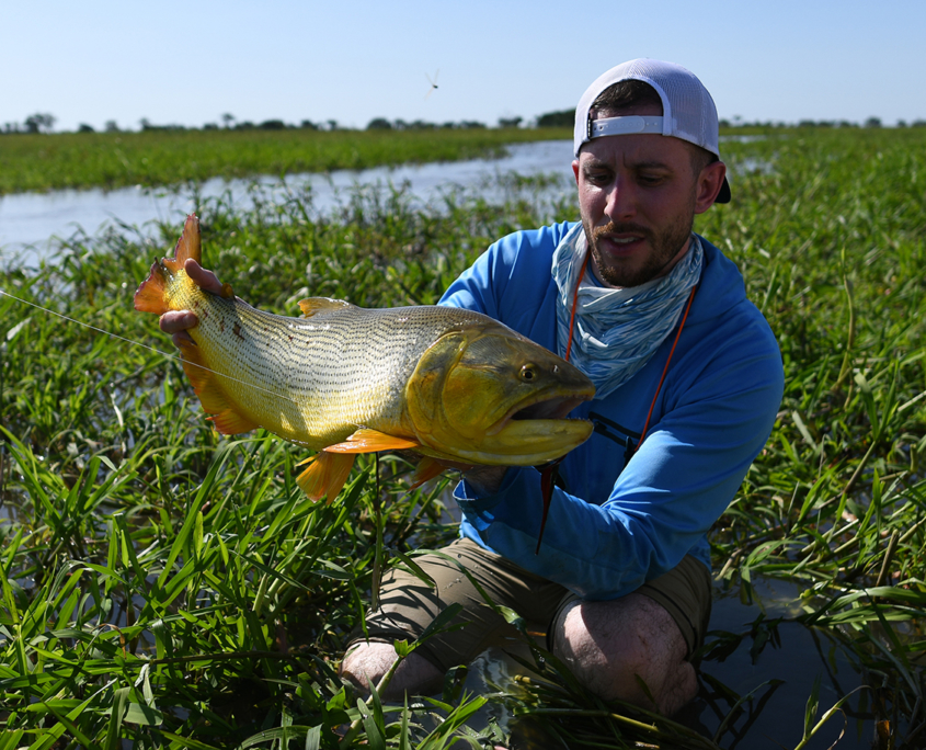 big-golden-dorado-argentina