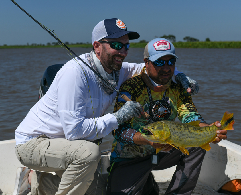 fly-fishing-for-golden-dorado