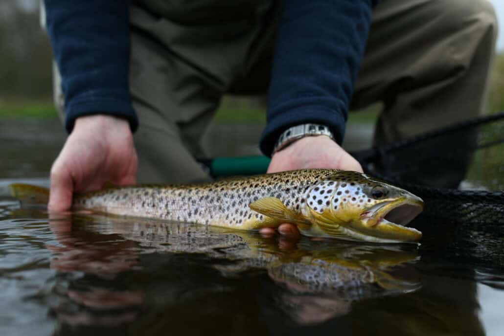 trout-fishing-scotland-in-2024-review