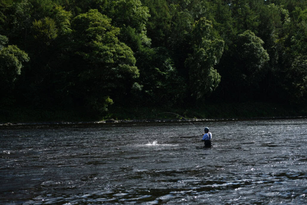 salmon-fishing-catches-2024-river-tay