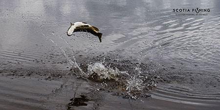 pike-fishing-in-scotland