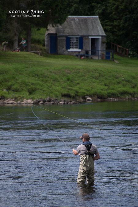 salmon-fishing-in-scotland