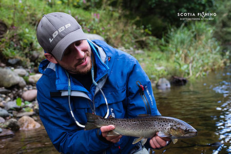 sea-trout-scotland