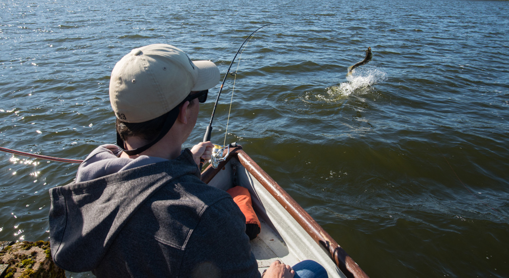best-methods-for-pike-fishing-scotland