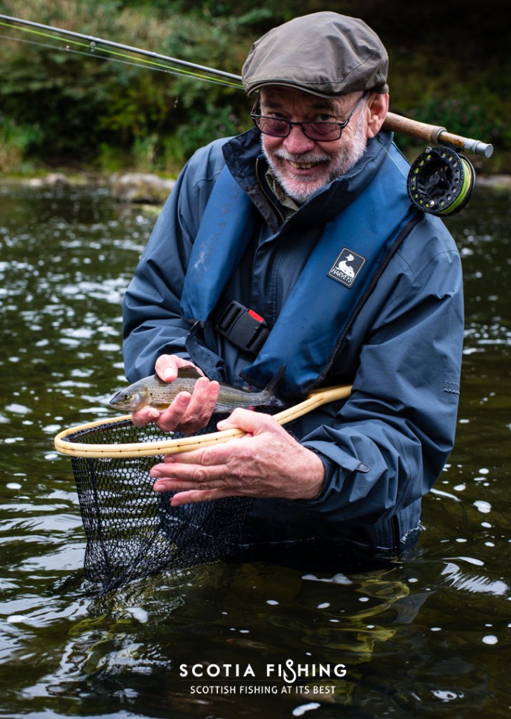 grayling