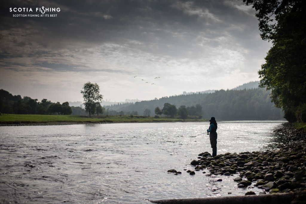river-tay-fishing-scotland-september