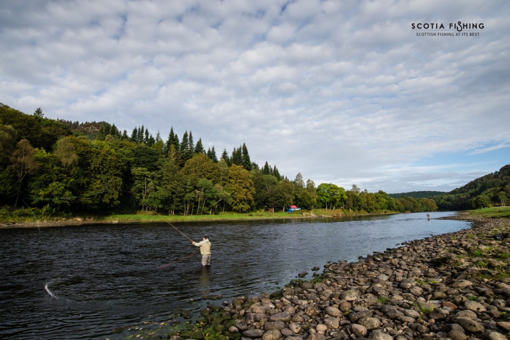 river-tay-salmon-september
