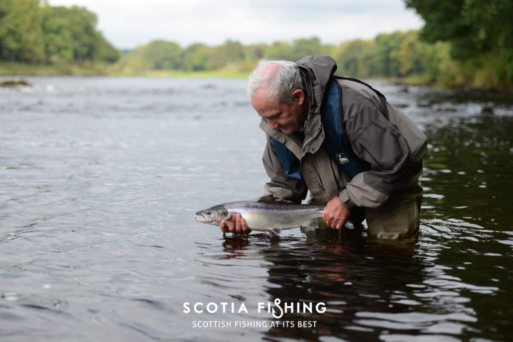 salmon-fishing-dreams-on-the-river-tay