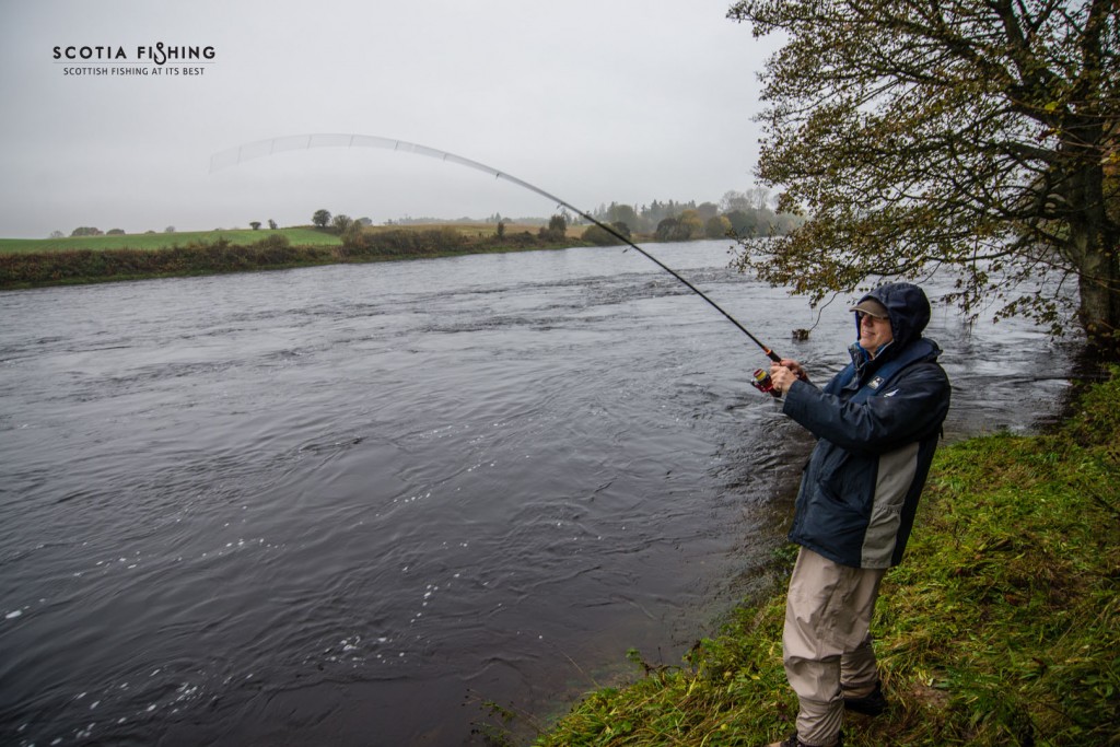 fishing-in-scotland-october-salmon