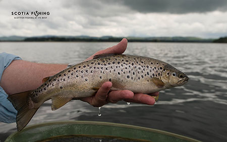 edinburgh-fishing-trips