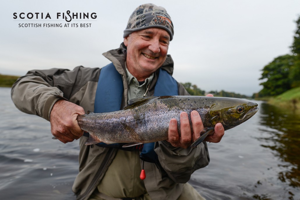 four-salmon-in-one-day