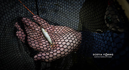 grayling-fishing-scotland-edinburgh-11