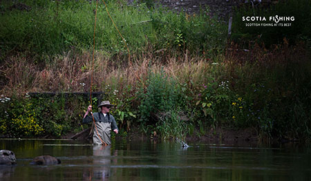 grayling-fishing-in-scotland-2