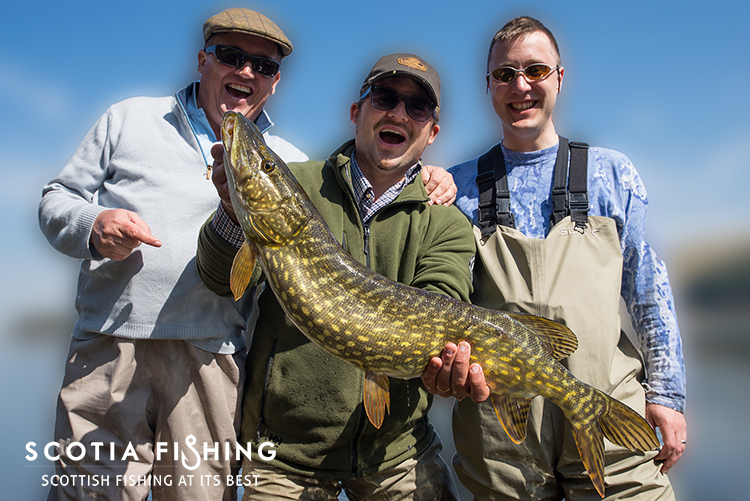pike-fly-fishing-near-edinburgh 