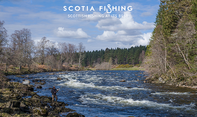 river-dee-salmon-guide