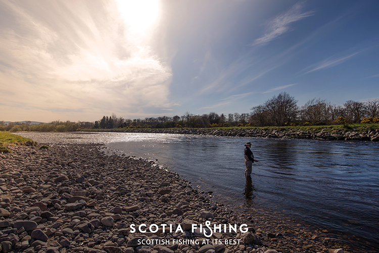 spring-salmon-fisherman