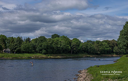 salmon-fishing-river-tweed