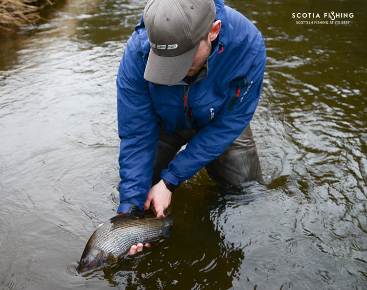 the-best-grayling-fishing-in-scotland-uk